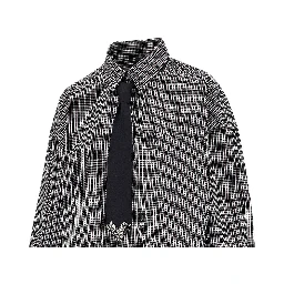 Check cropped shirt with necktie