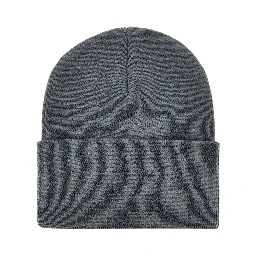 Logo patch beanie