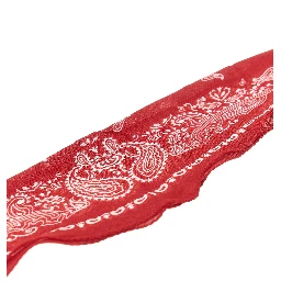Cashmere-blend scarf with Bandana motif