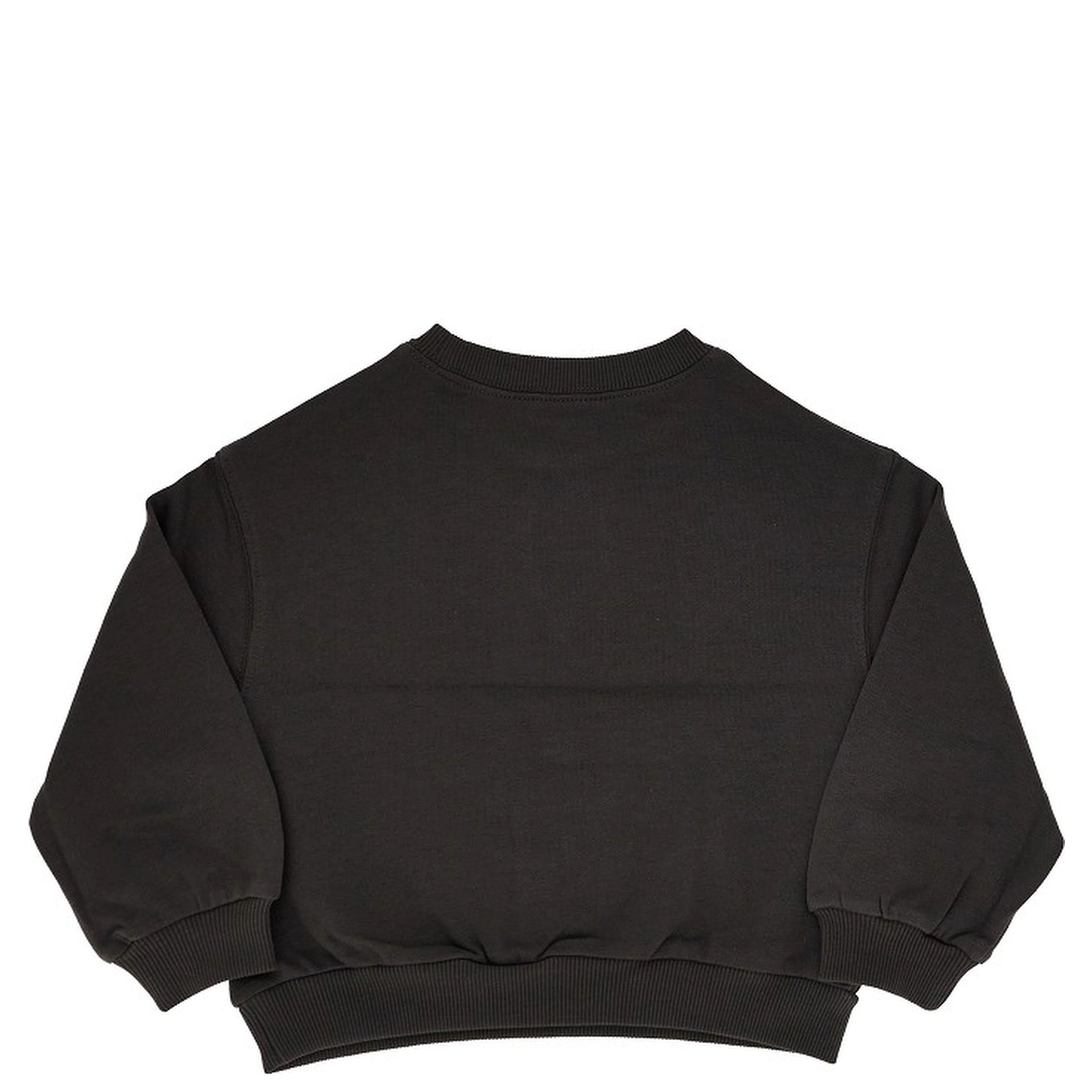 Dogs embroidery sweatshirt