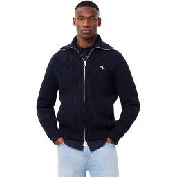Lacoste Sweaters Blu