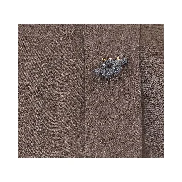 FABIANA FILIPPI Shirts Beige