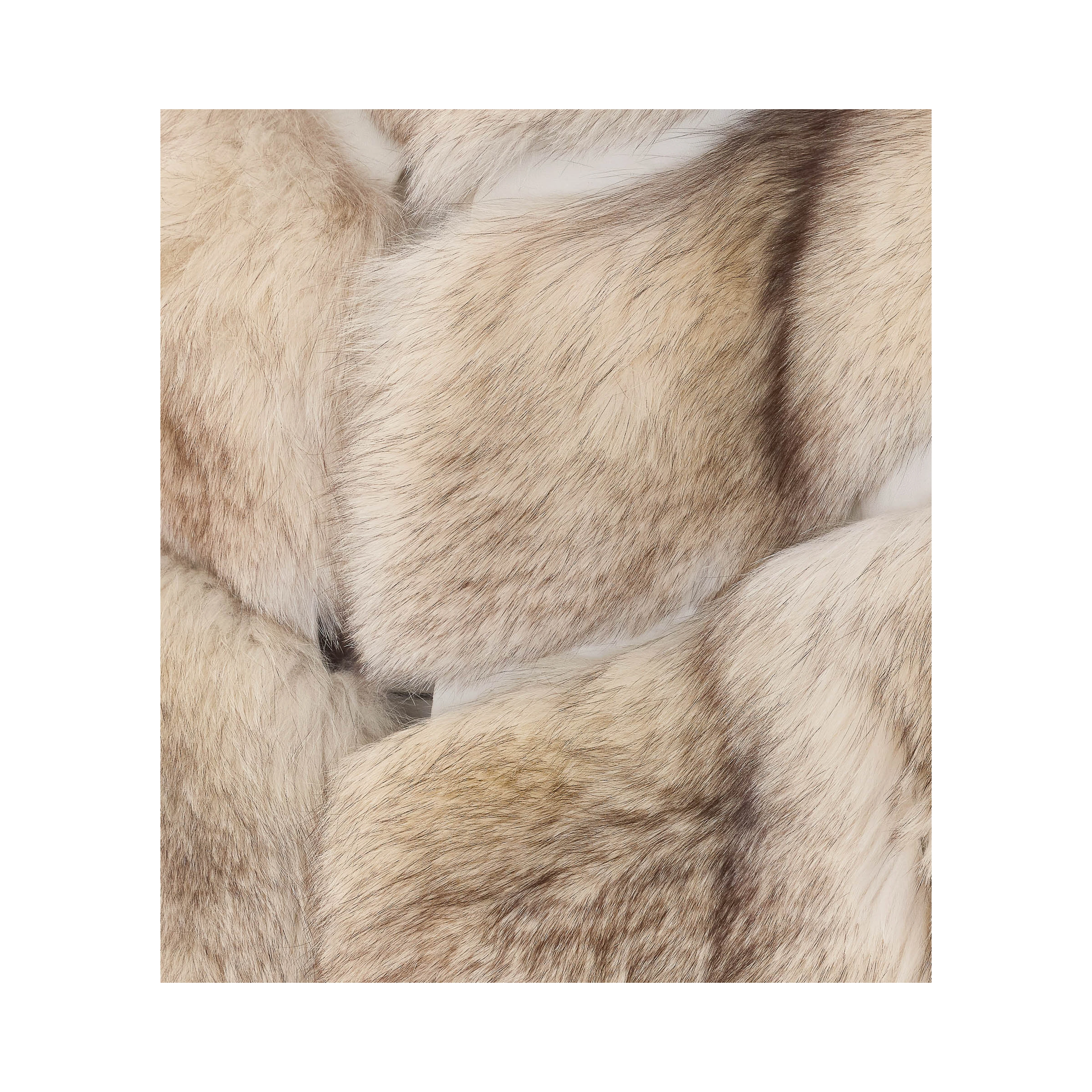 IACOPA Coats