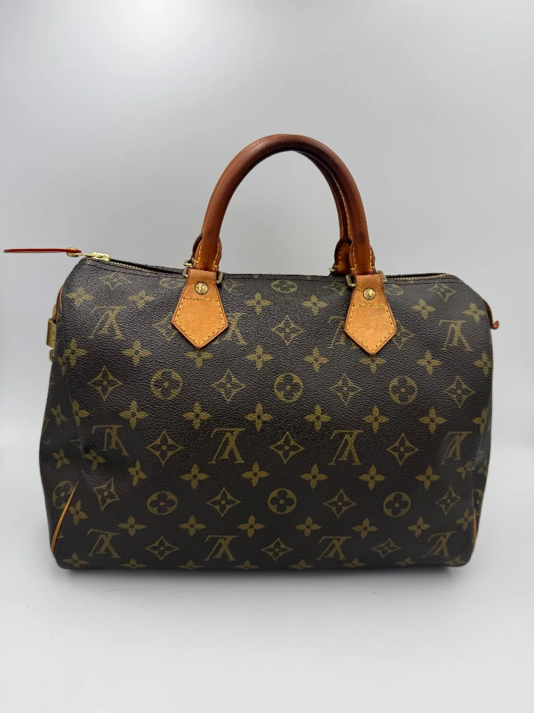 LOUIS VUITTON Speedy 30 Monogram Handbag alternative