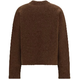 Brown Alpaca Vicugna Pacos Sweatshirt