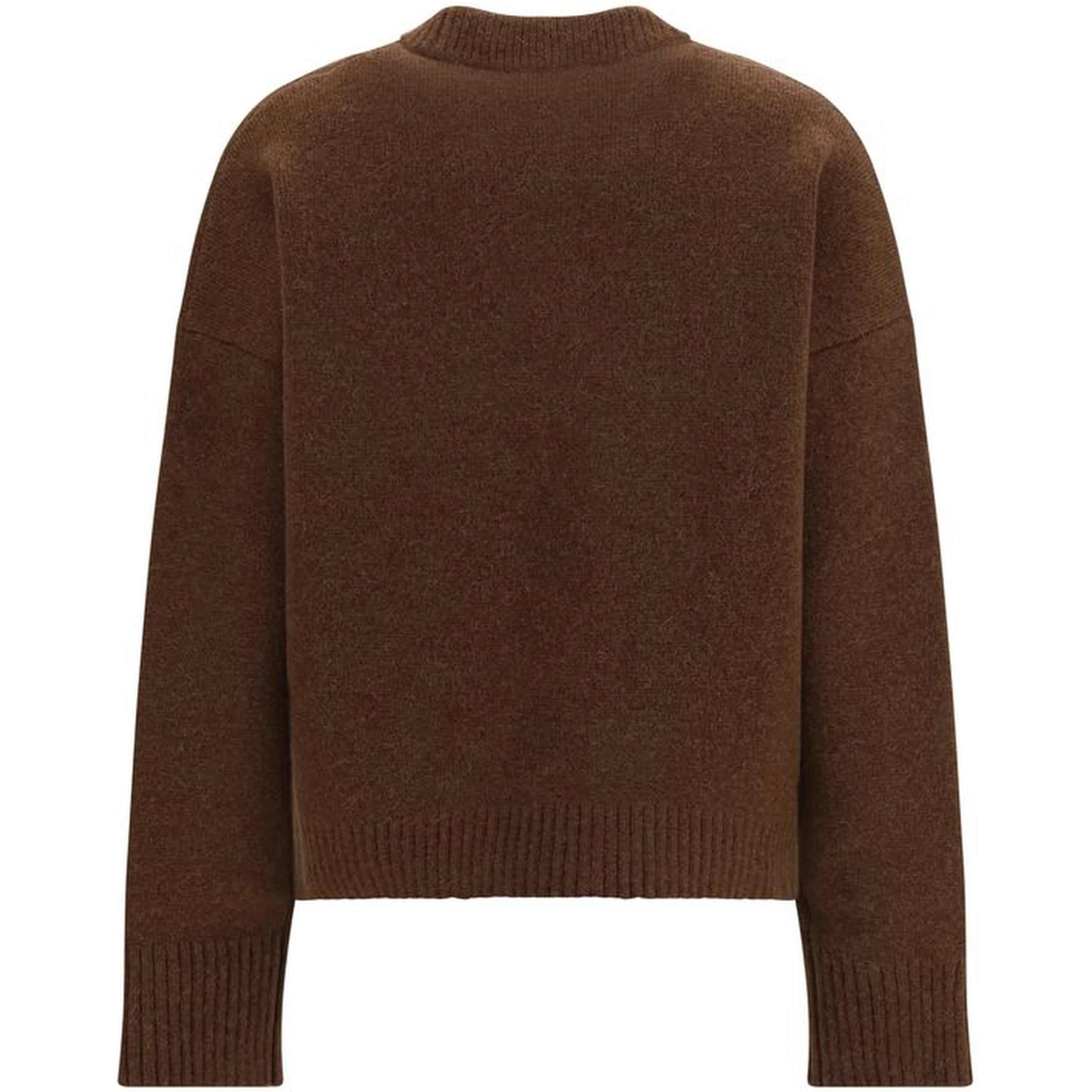 Brown Alpaca Vicugna Pacos Sweatshirt