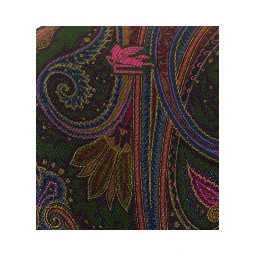 Etro Scarfs
