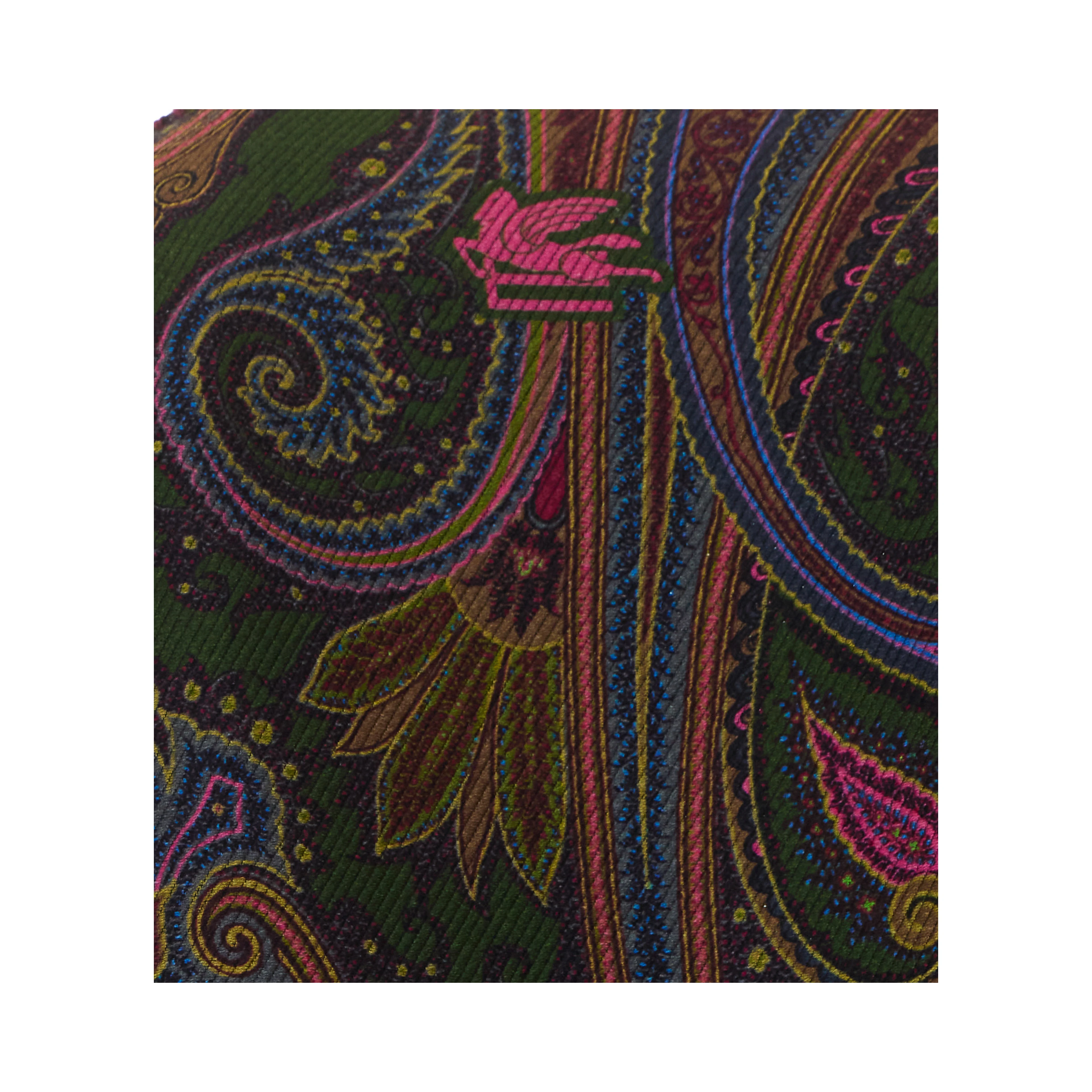 Etro Scarfs