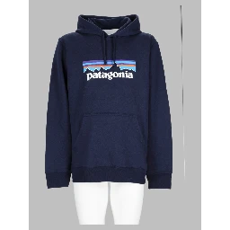 Felpa Con Logo e Cappuccio