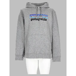 Felpa Con Logo e Cappuccio