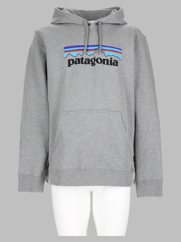 Felpa Con Logo e Cappuccio