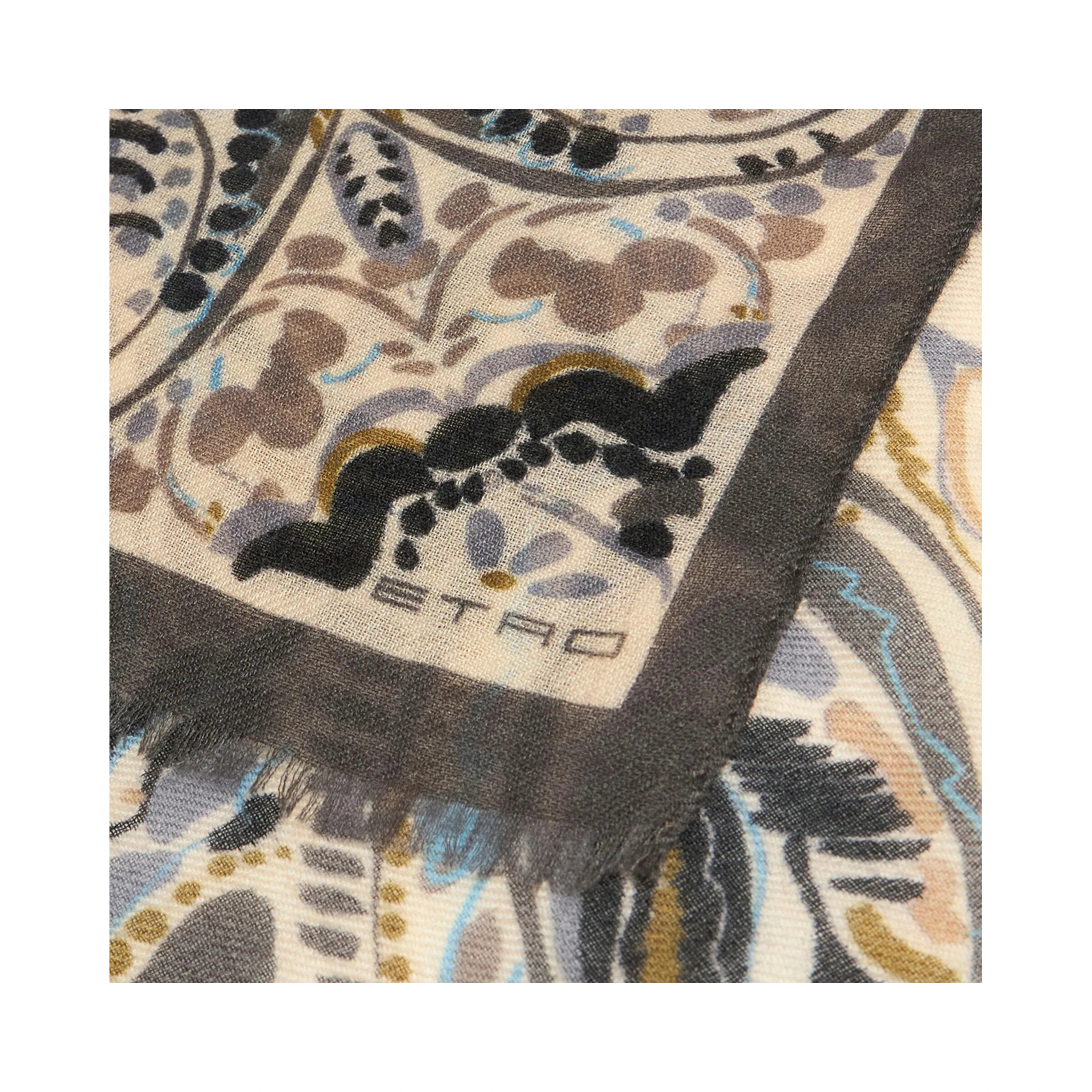 Etro Scarfs