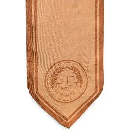 ELISABETTA FRANCHI Scarfs