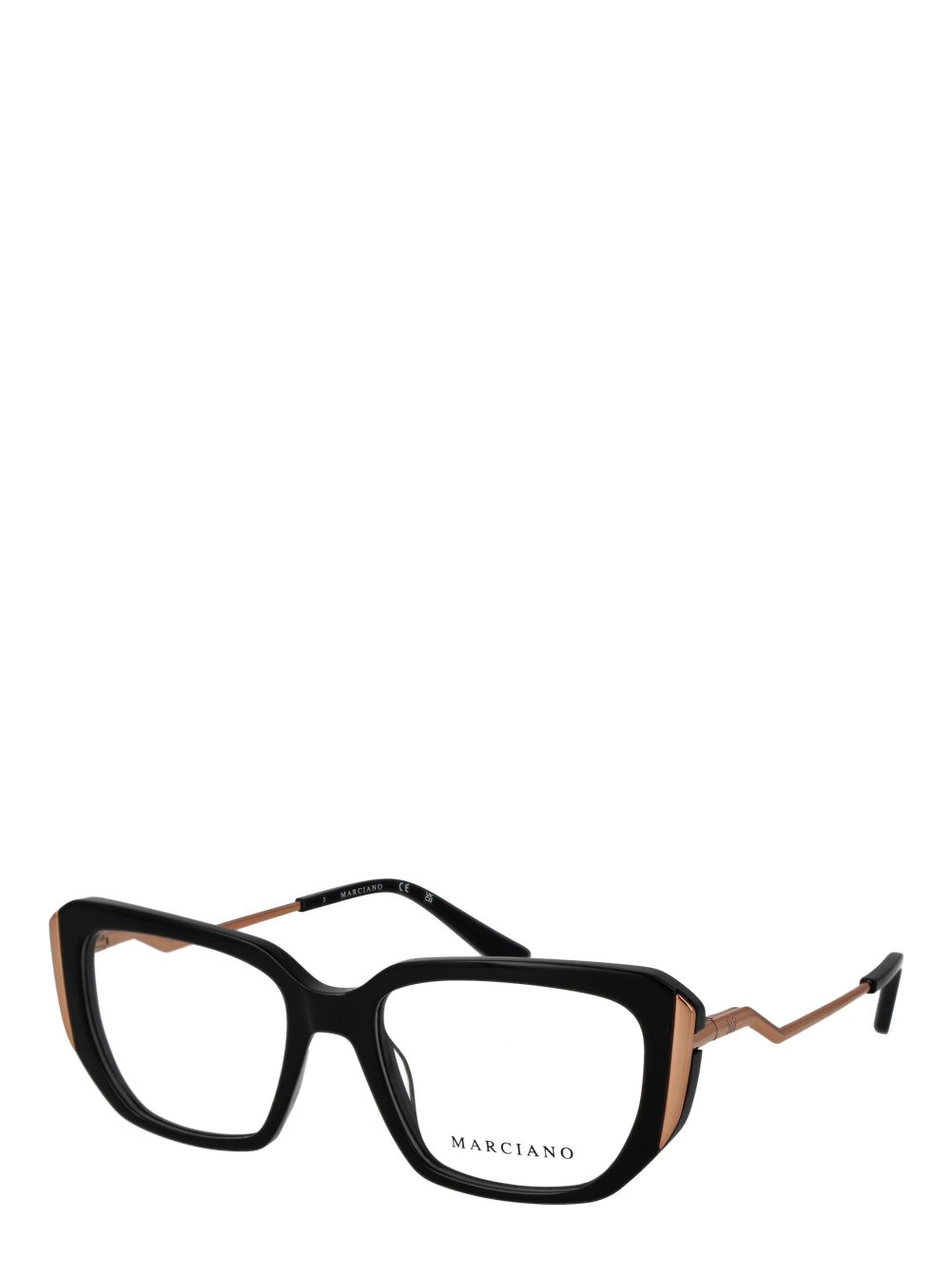 Black Plastic Glasses (Frames)