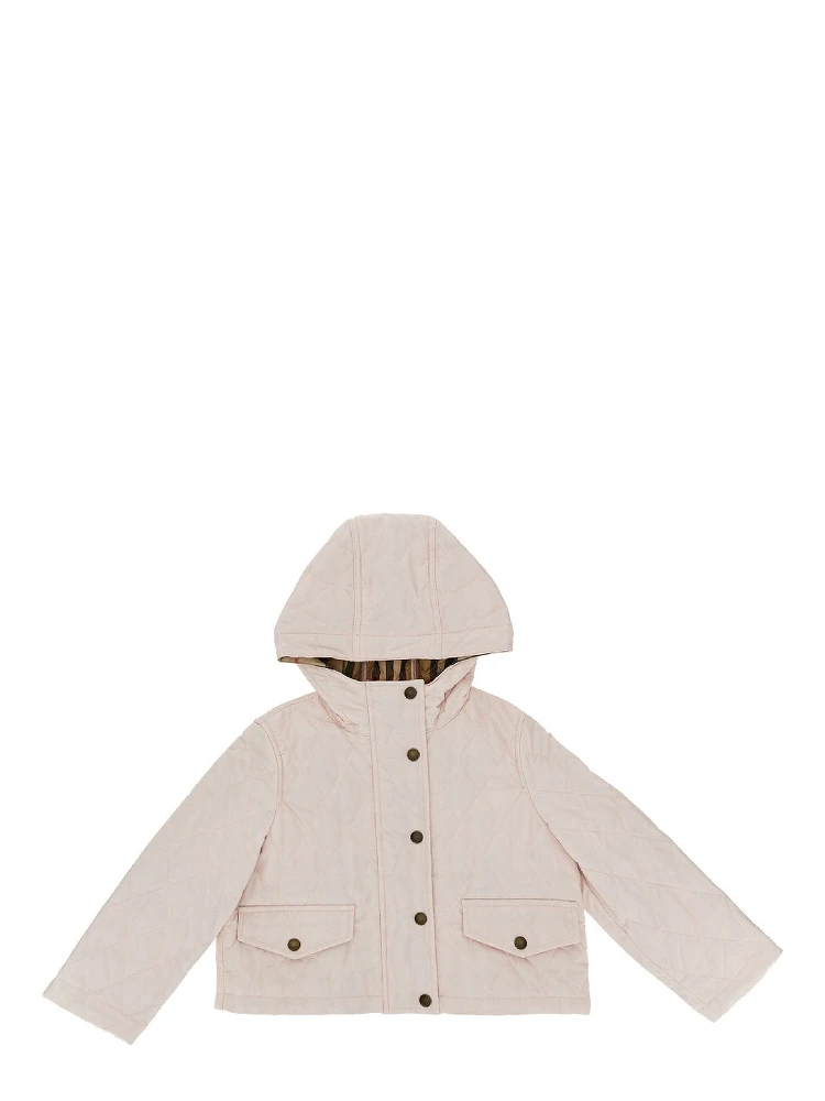 Quilted nylon jacket