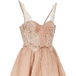 'Valiant' lace trim organdy mini dress