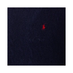 Polo Ralph Lauren Sweaters Blue
