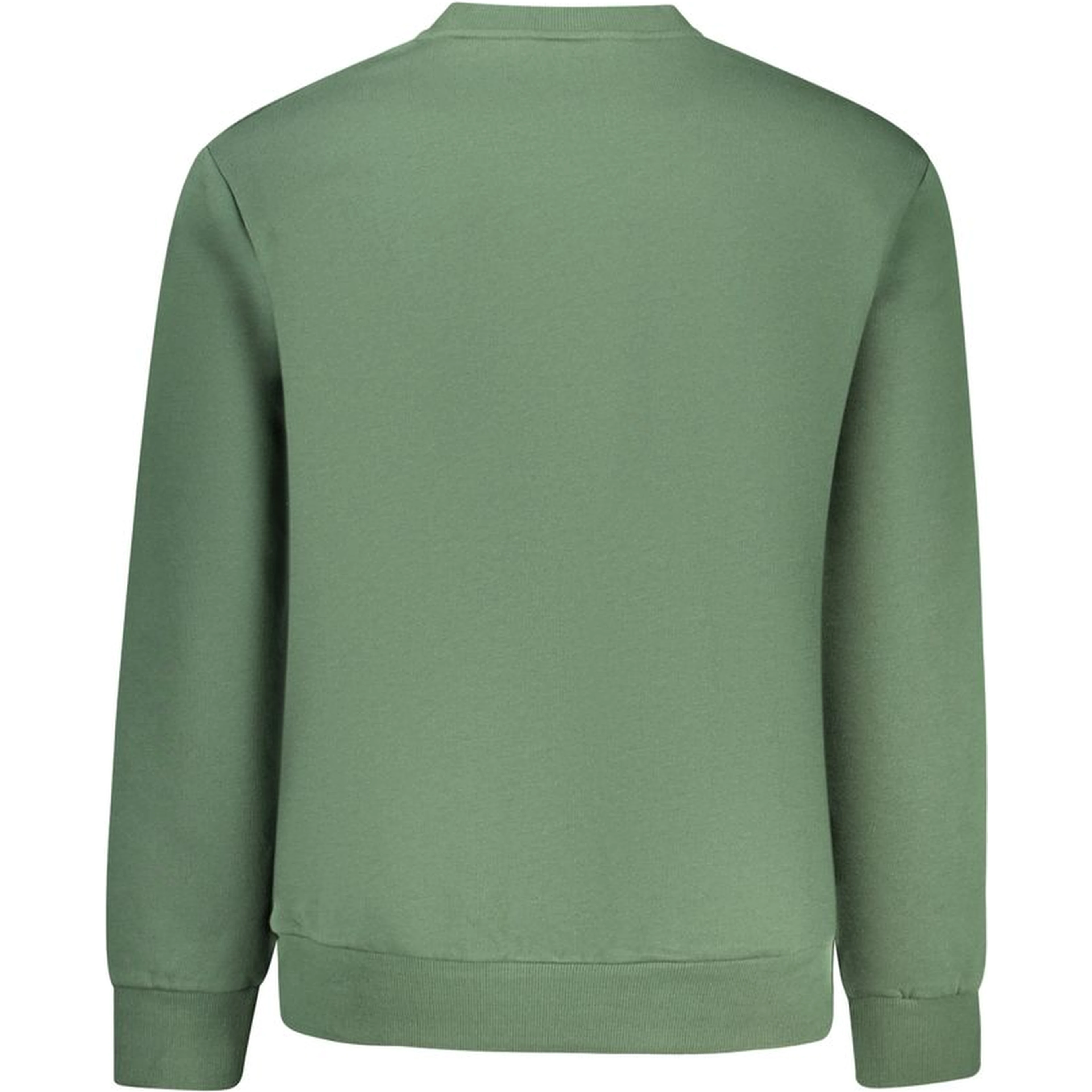 Green Cotton Sweatshirt