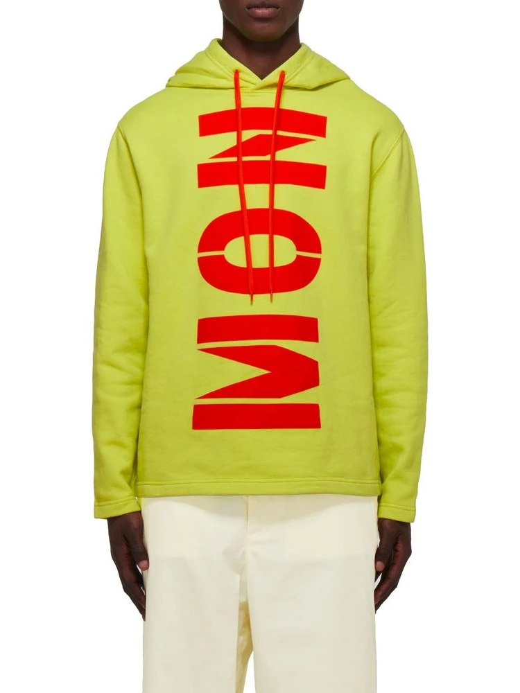 Bicolor Cotton Hoodie alternative