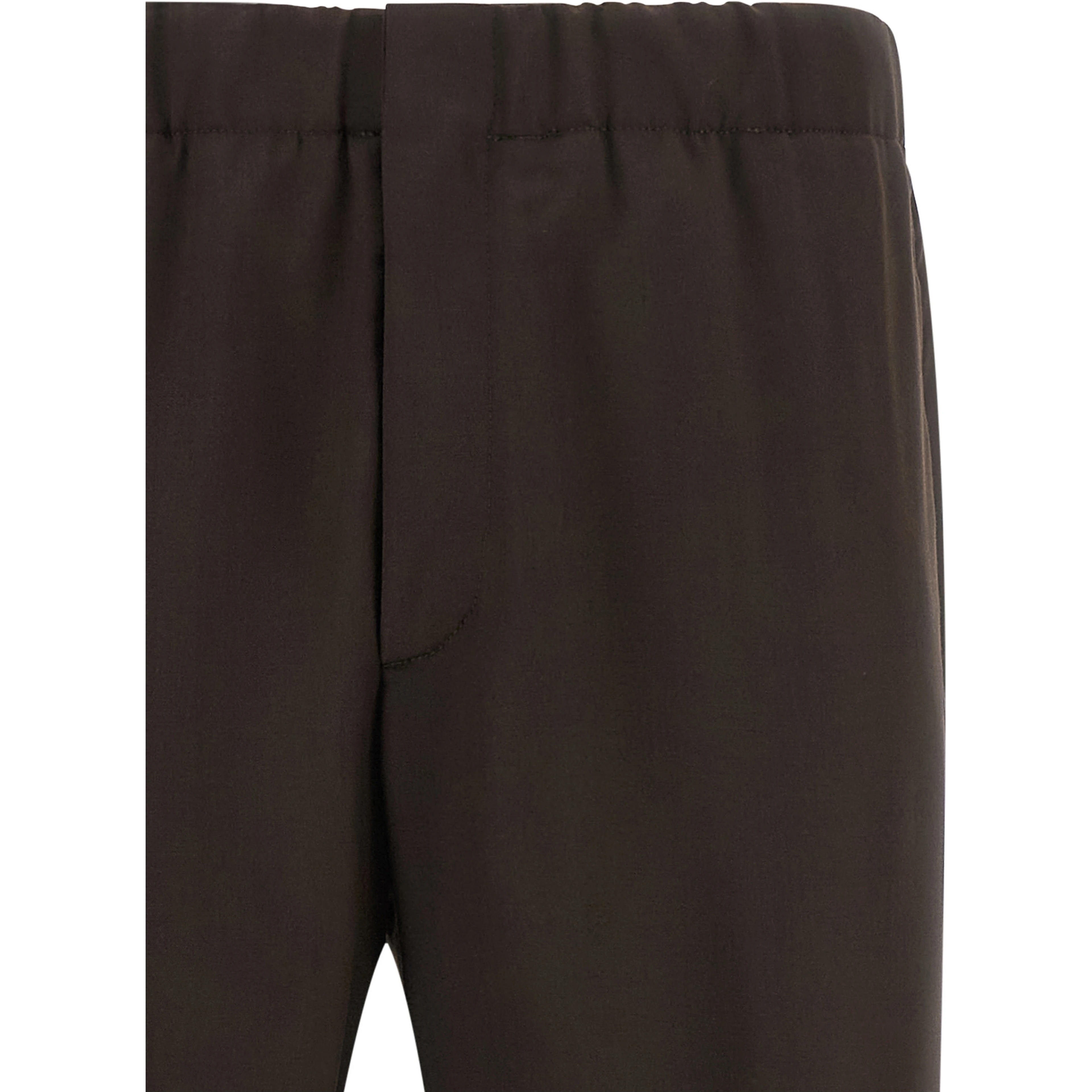 Brown Virgin Wool Casual Pants