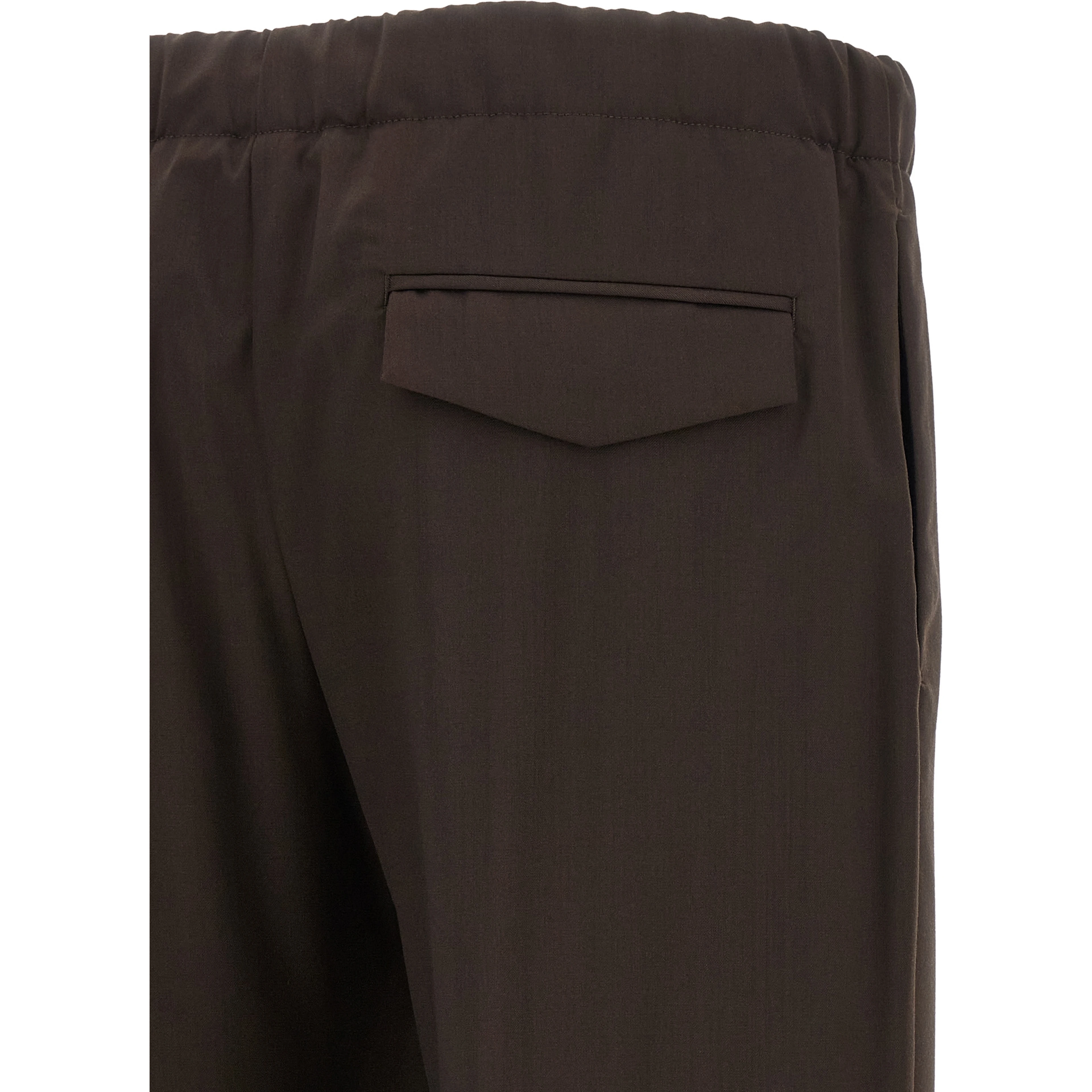 Brown Virgin Wool Casual Pants