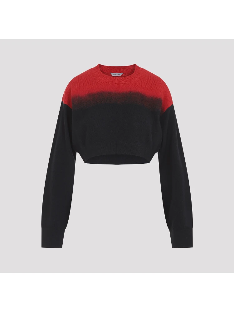 Balenciaga Crewneck Sweater