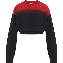 Balenciaga Crewneck Sweater