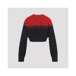 Balenciaga Crewneck Sweater