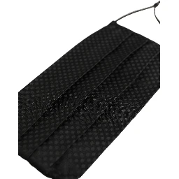 Black Silk Patterned Pleated Elastic Ear Strap Face Mask