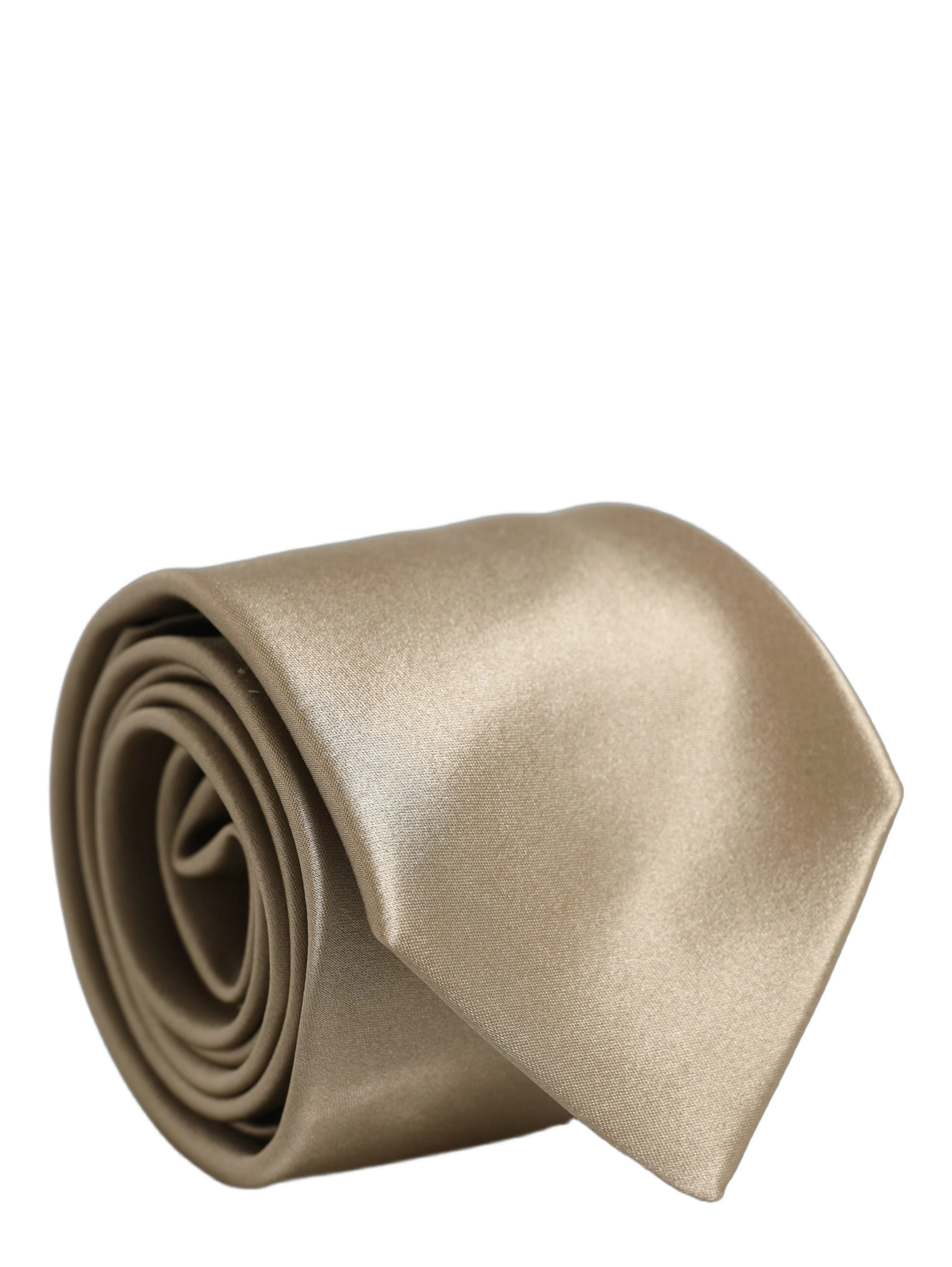 Beige Satin Silk Adjustable Tied Necktie Accessory Tie