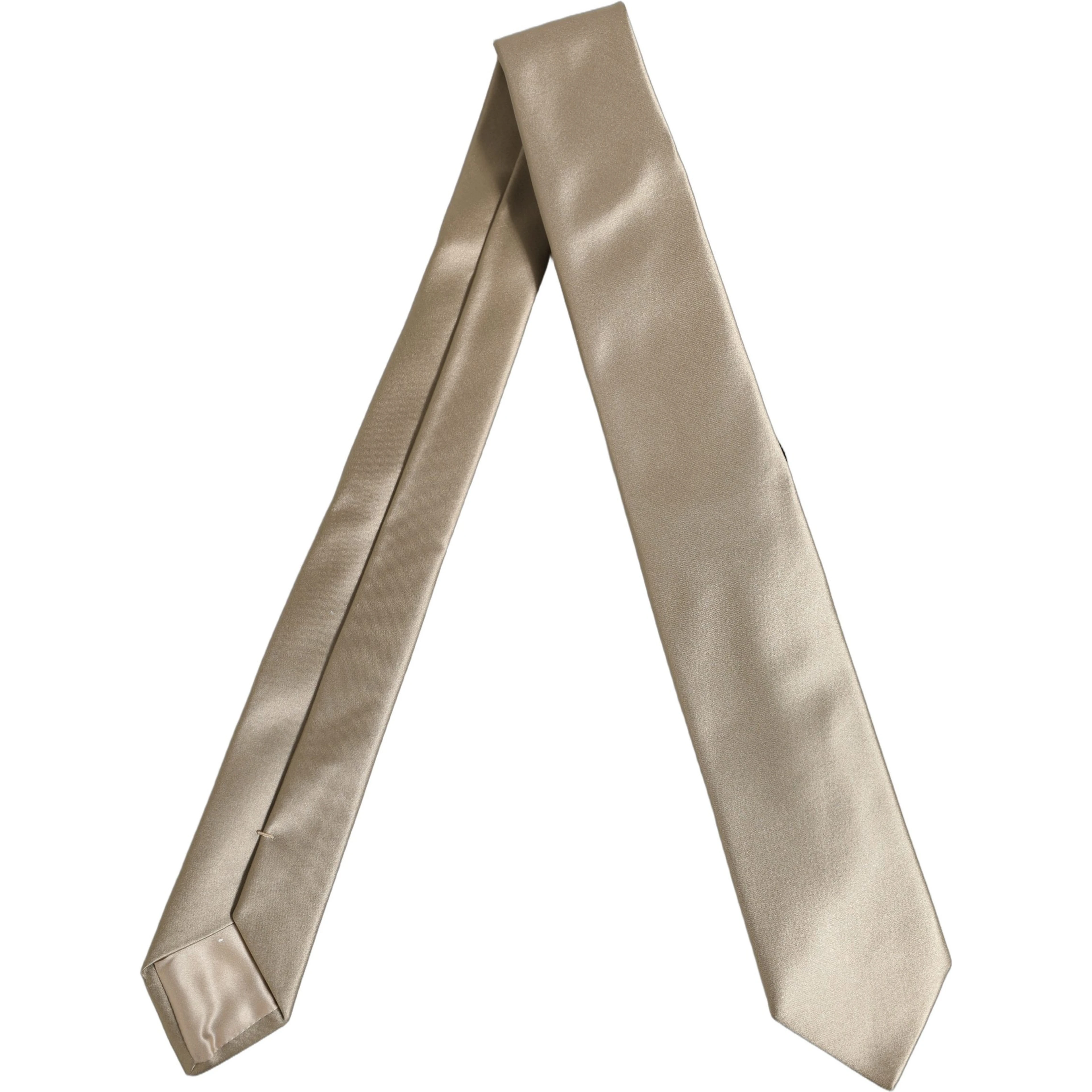 Beige Satin Silk Adjustable Tied Necktie Accessory Tie