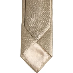 Beige Satin Silk Adjustable Tied Necktie Accessory Tie