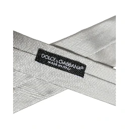 Men Light Gray Textured Silk Adjustable Tied Necktie Tie