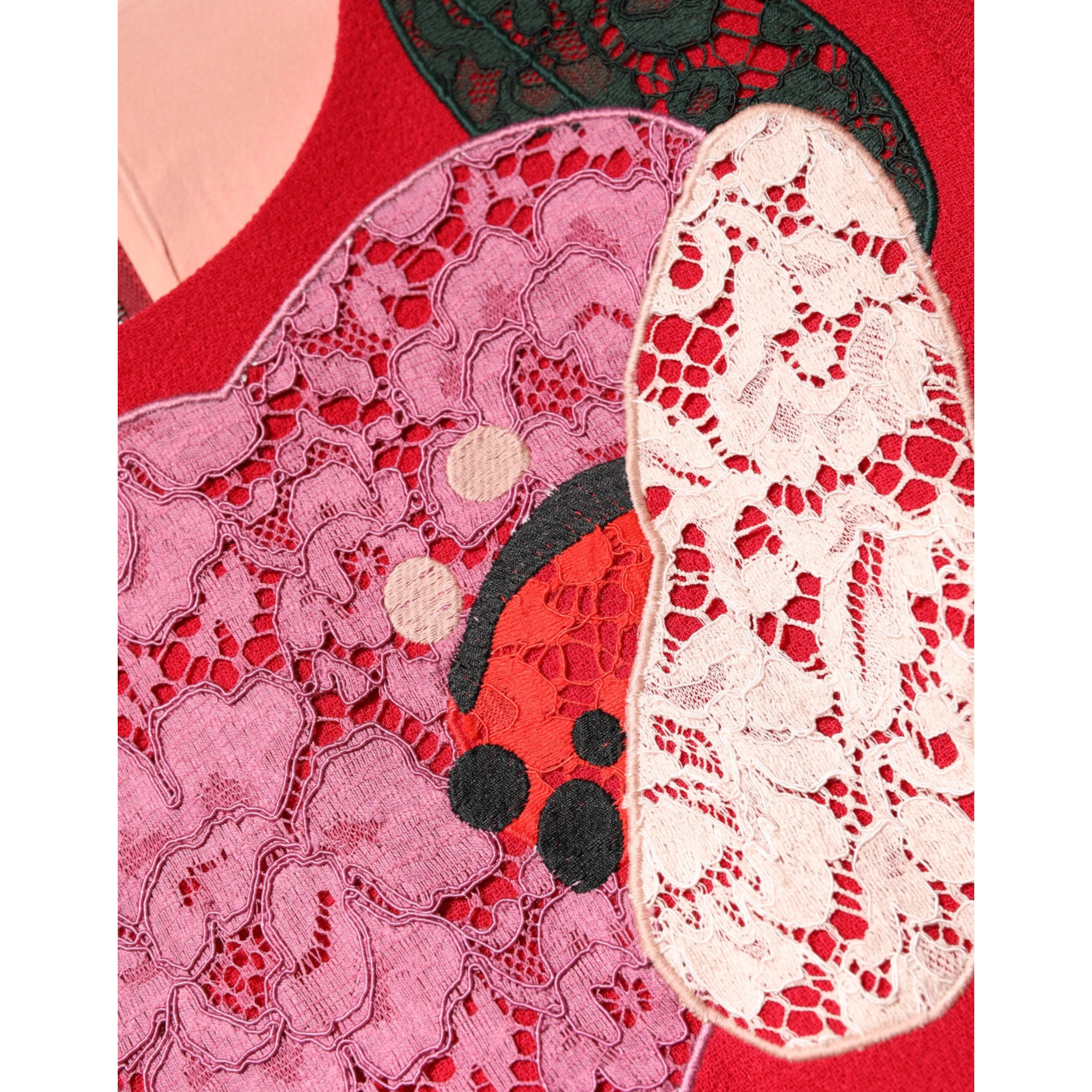 Red Lace Floral Applique A-line Mini Dress