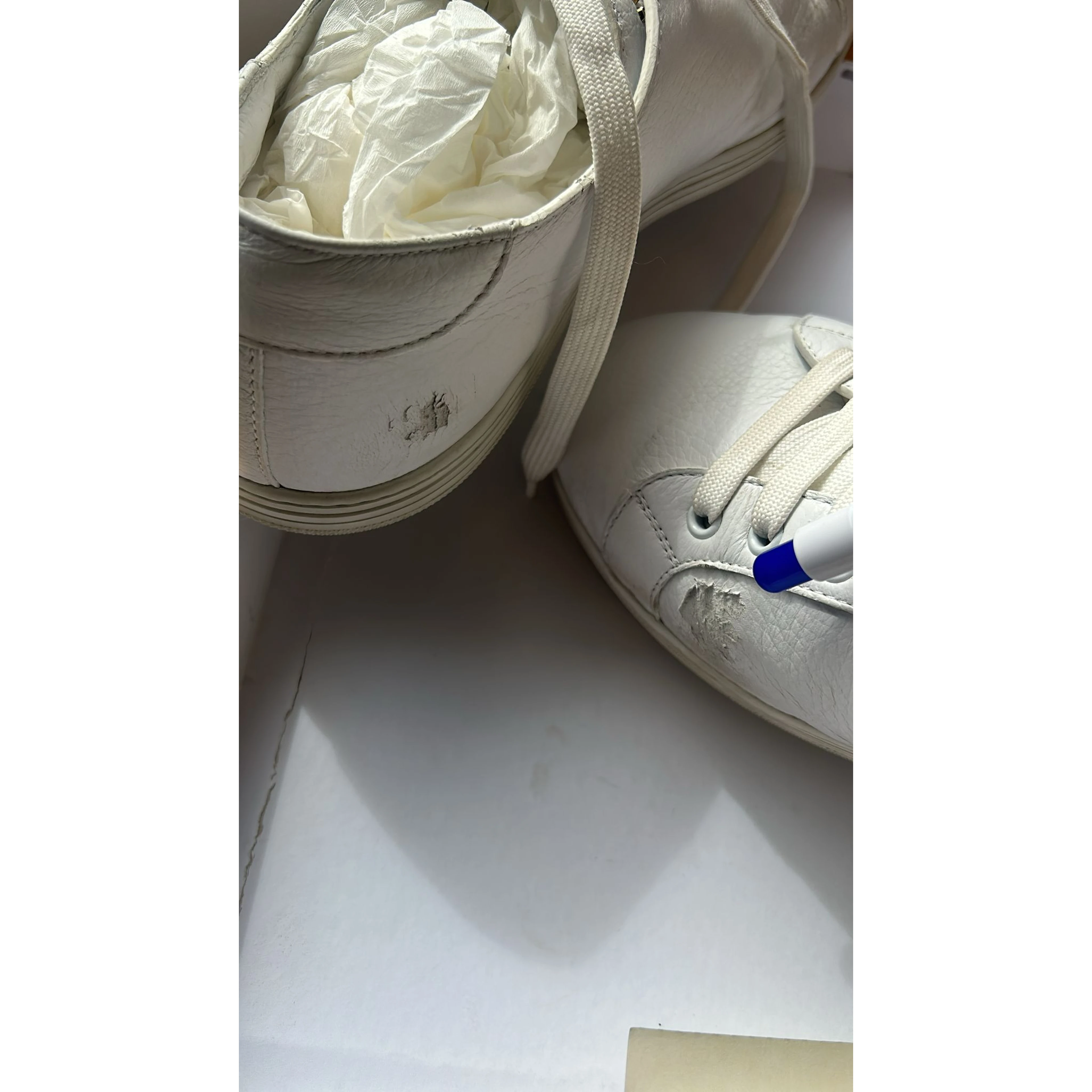 White Low Top Men Saint Tropez Sneakers Shoes
