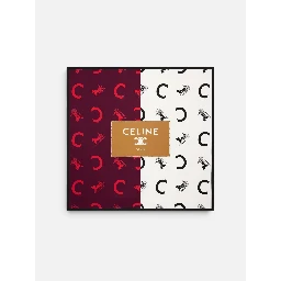 CELINE scarf