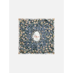 CHRISTIAN DIOR scarf