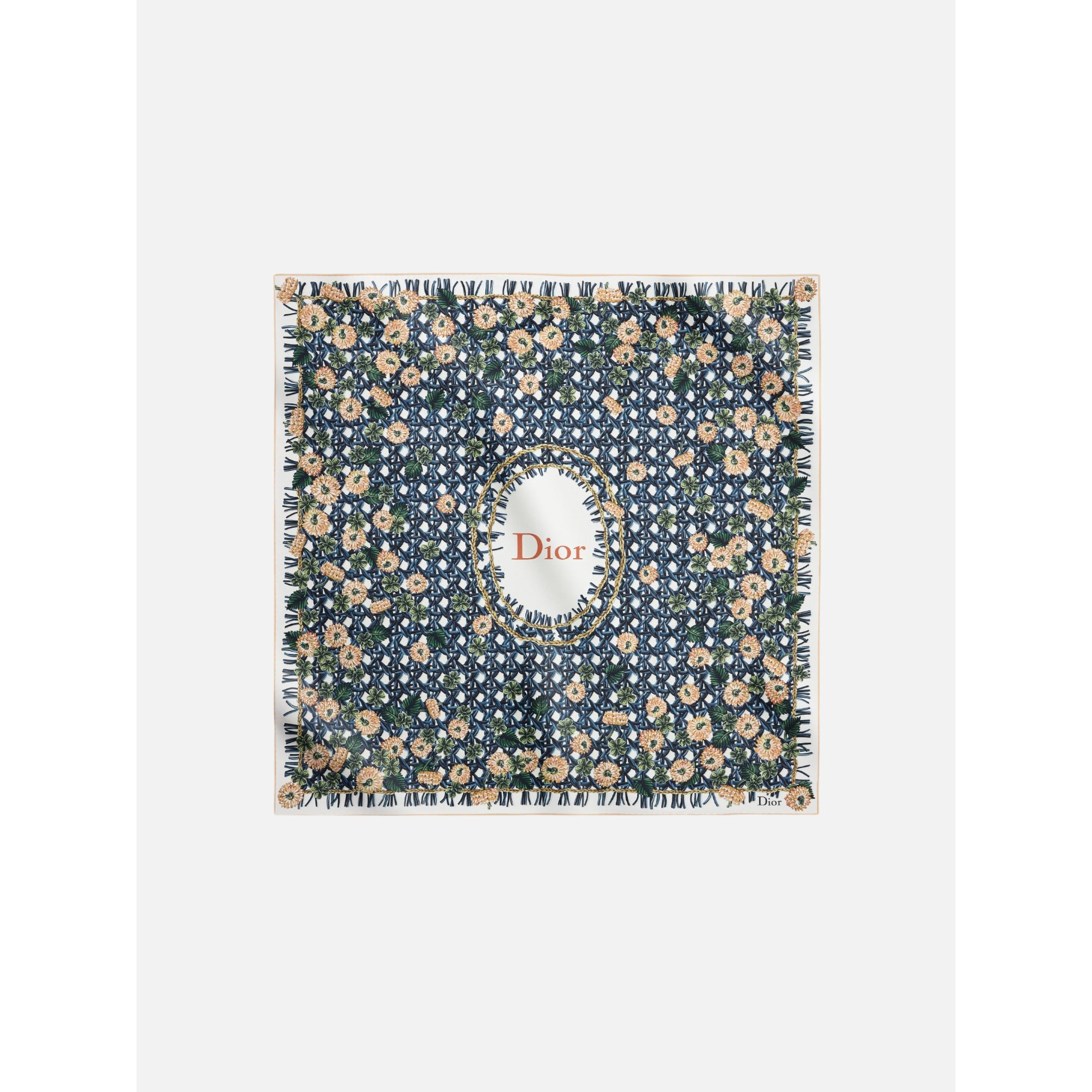 CHRISTIAN DIOR scarf