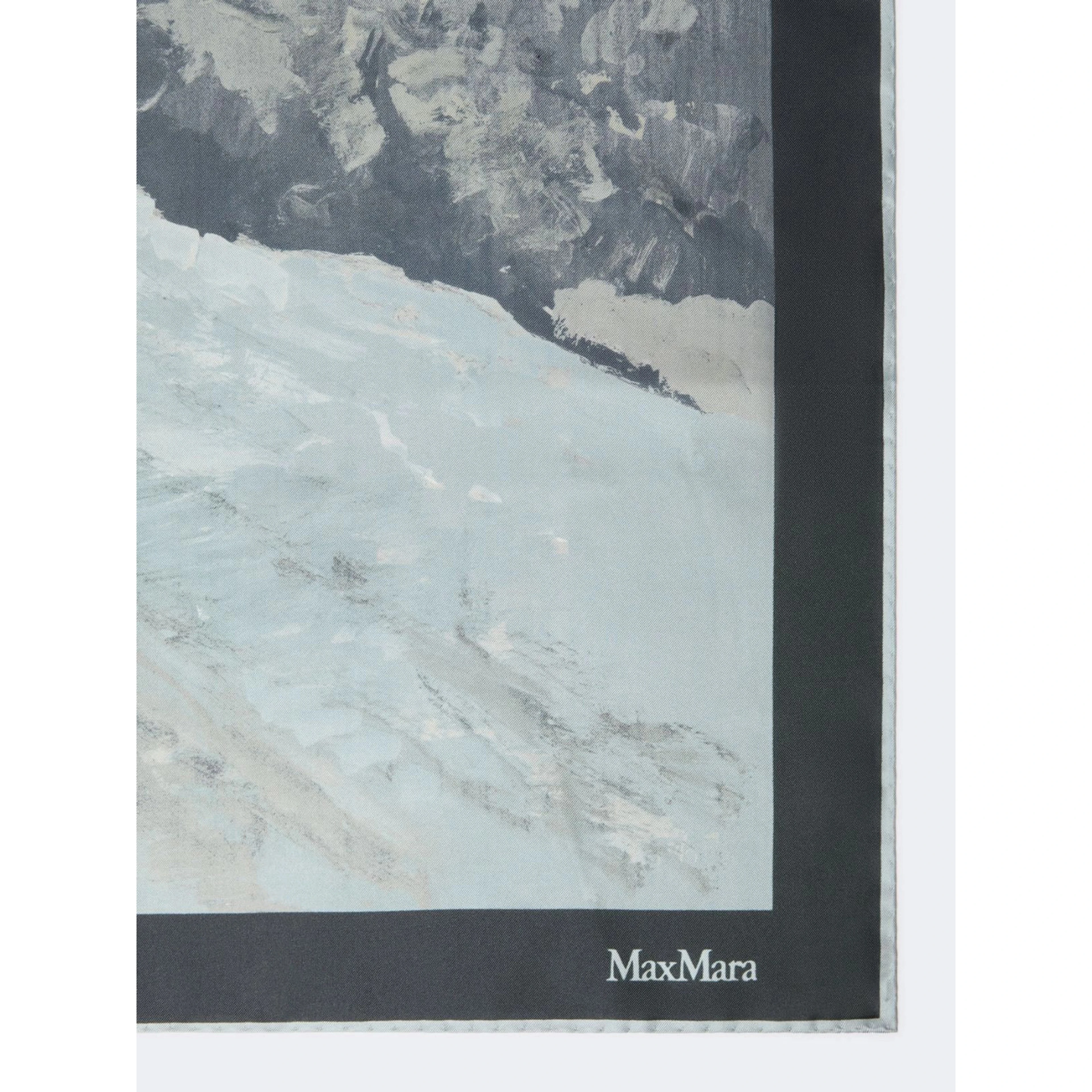 MAX MARA MXACARRE90W2 scarf