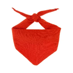 n°35 BANDANA - E36 - SCARFS