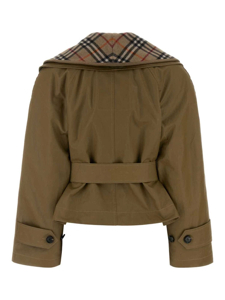 CARLTON SHORT alternative