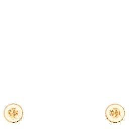 Icon Enamel Stud Earrings