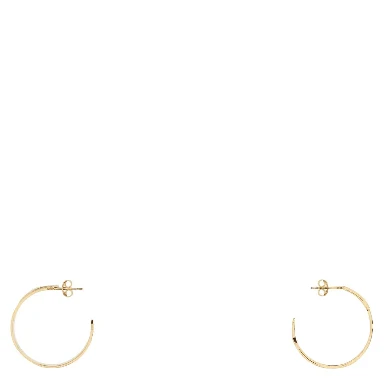 GIVENCHY TAPE EARR