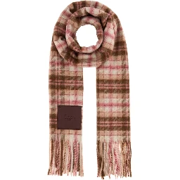 TS05 - Chloé In Checks