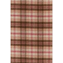 TS05 - Chloé In Checks