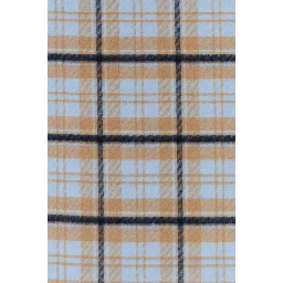 TS04 - Chloé In Checks