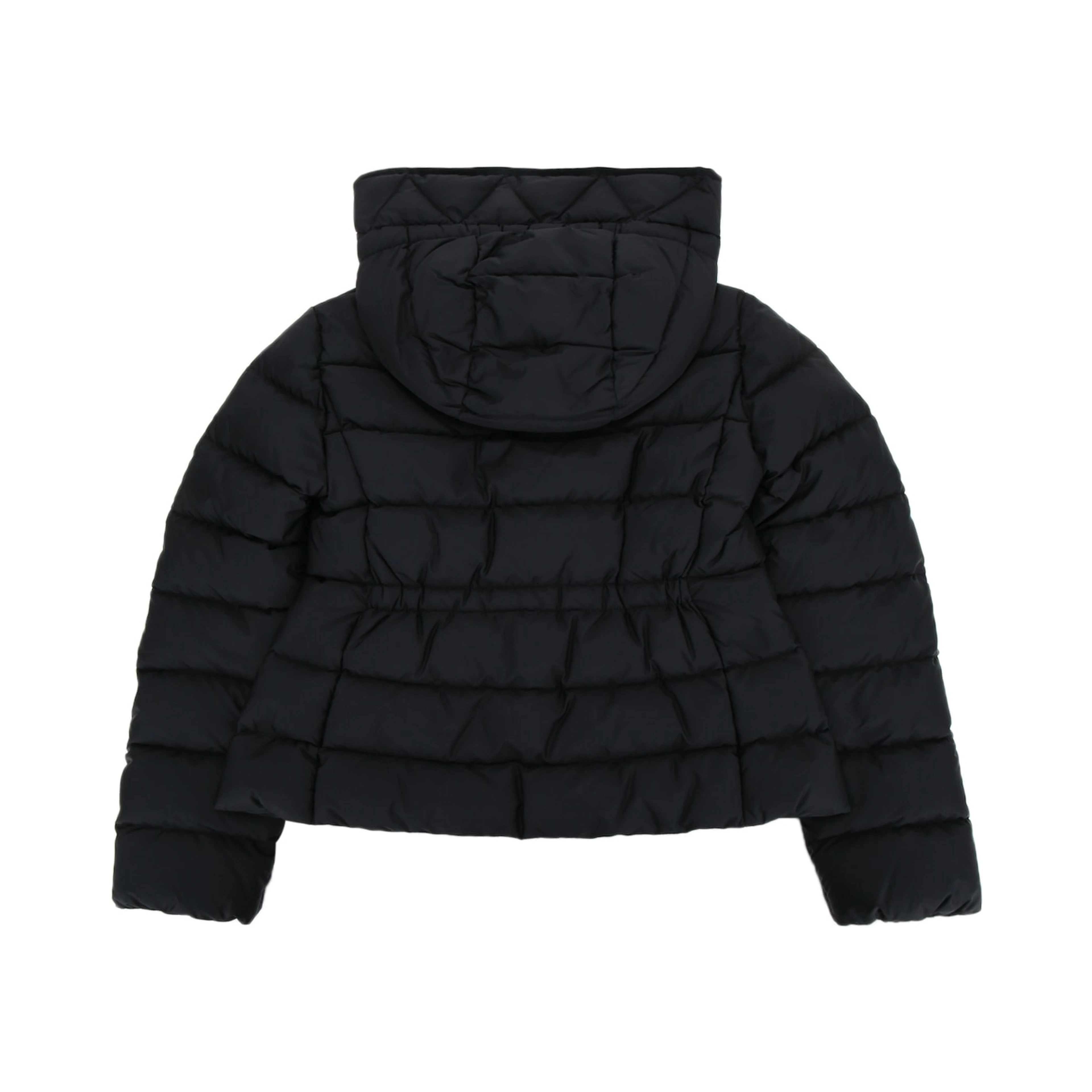 AVOCE JACKET