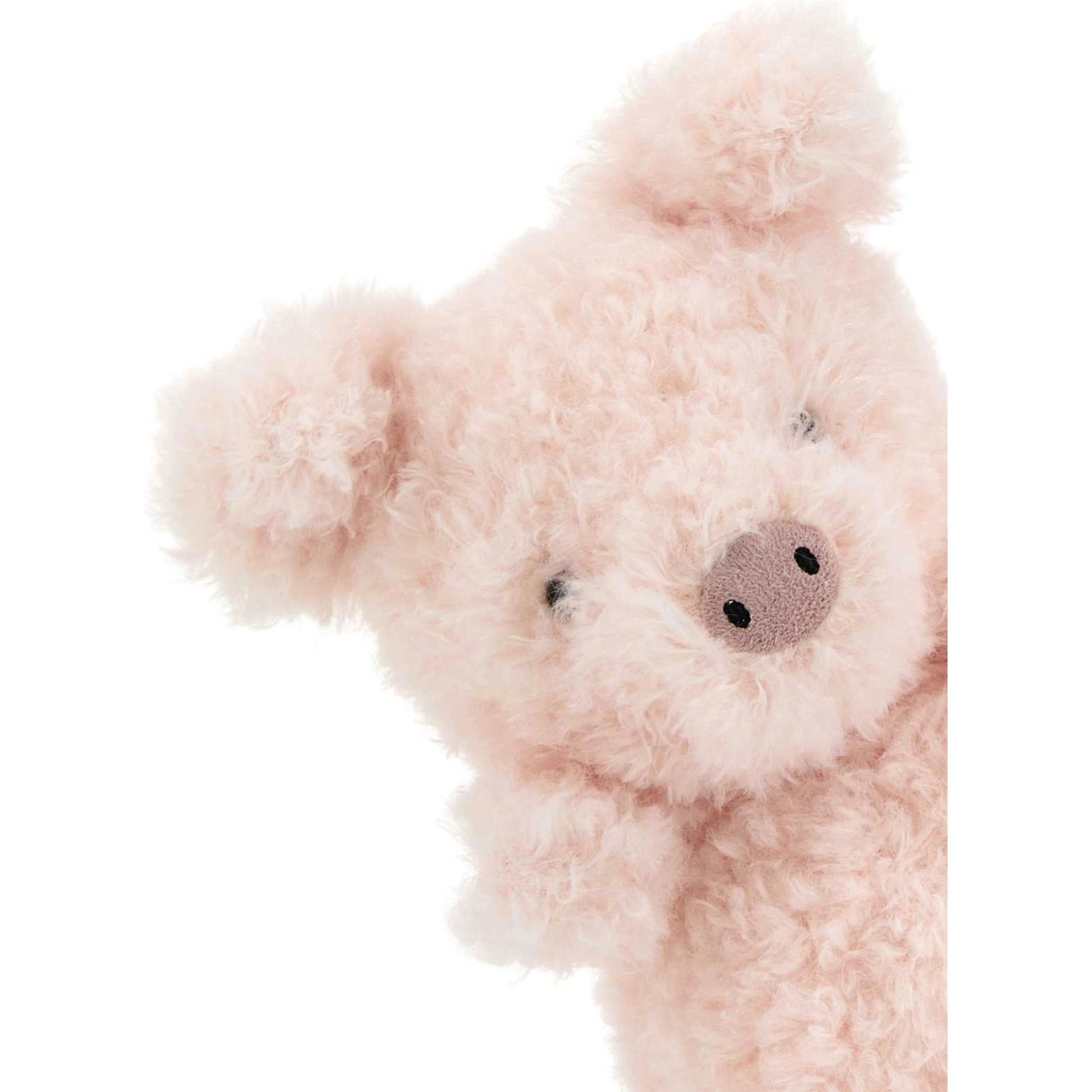 LITTLE PIG
