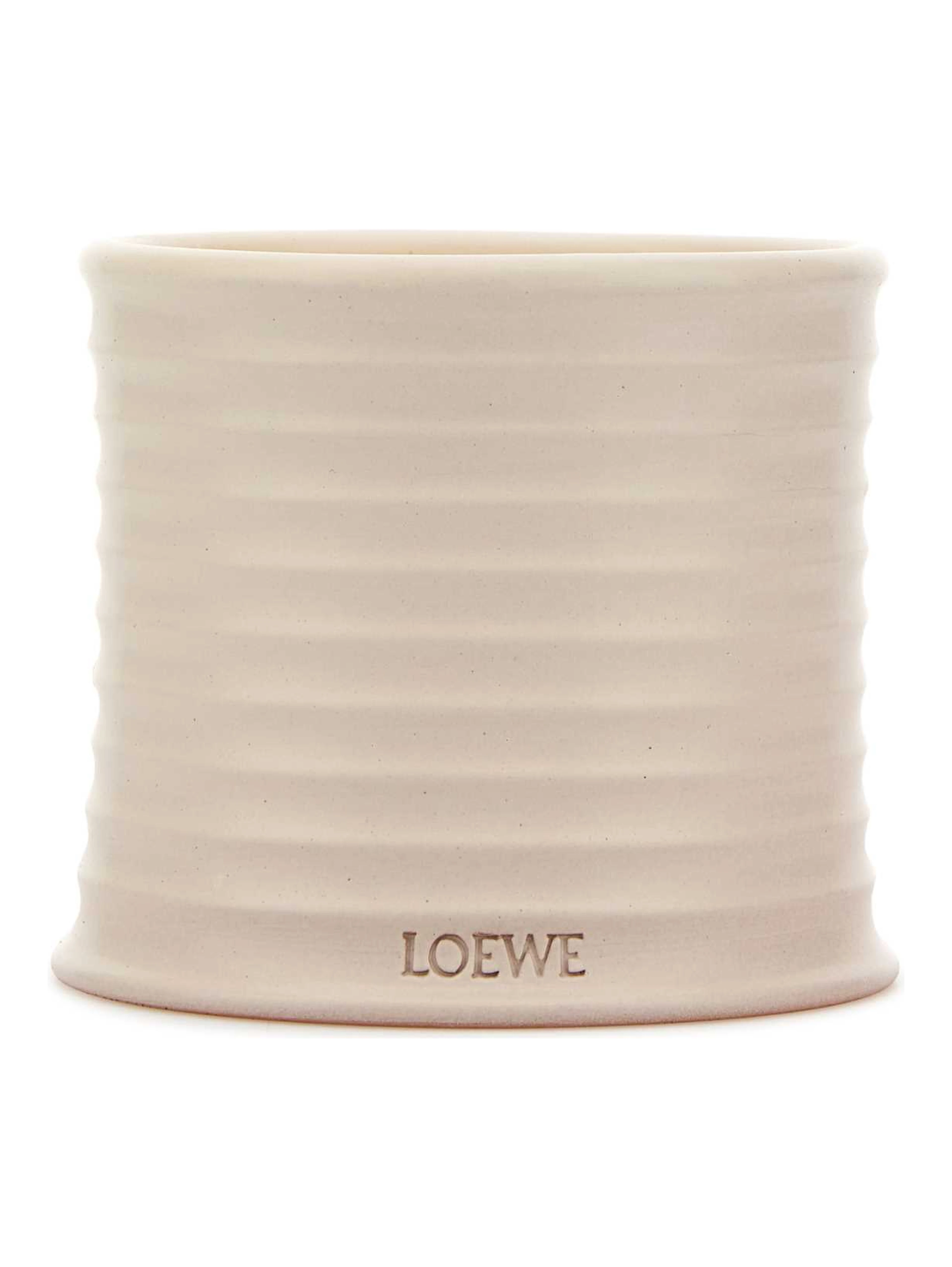 LOEWE MEDIUM OREGANO CANDLE
