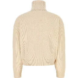 TURTLENECK